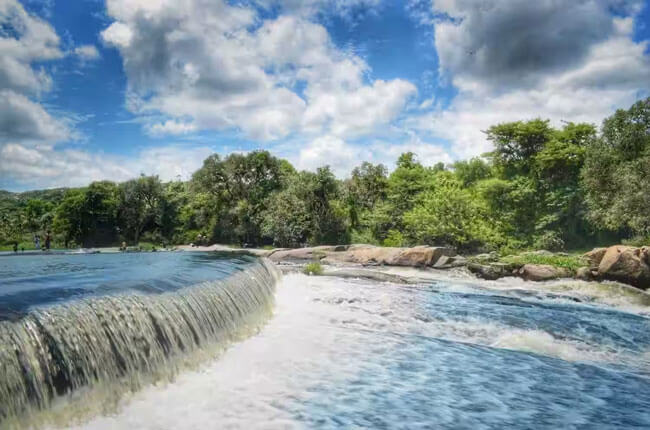 perandapalli-forest-water-falls